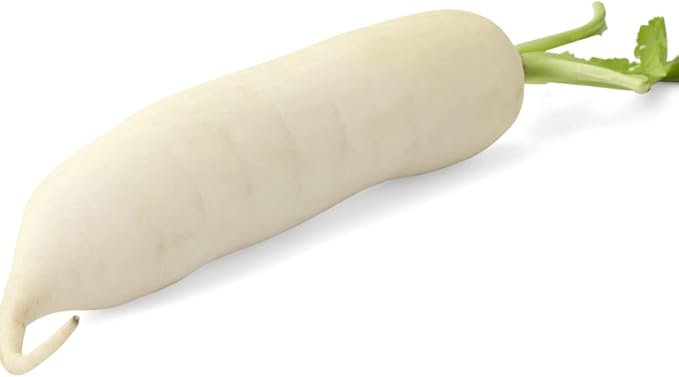 MOULI WHITE RADISH (EACH) MOULI 白蘿蔔(每個)0050