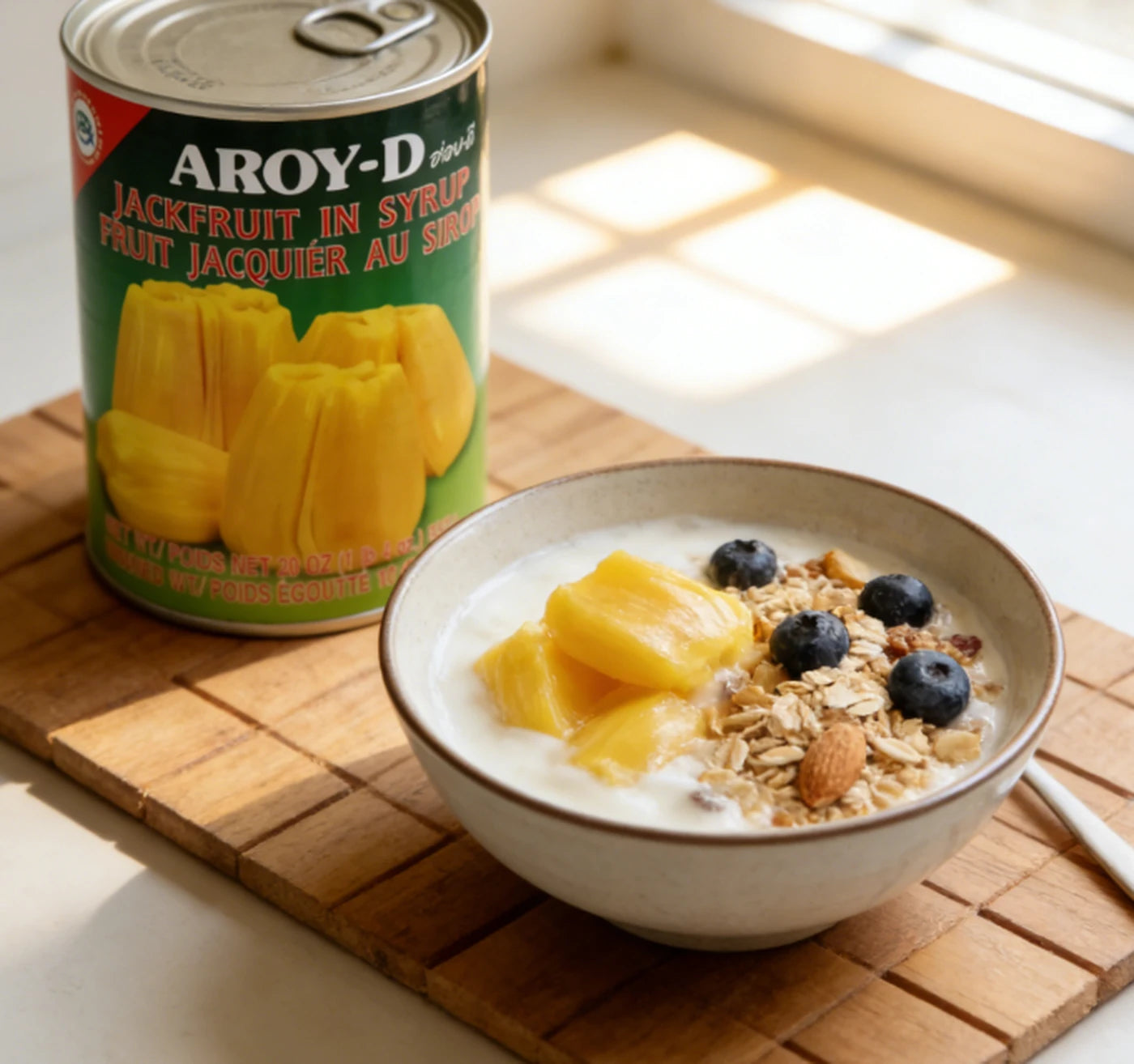 AROY-D Jackfruit In Syrup 565G AROY-D 菠蘿蜜罐頭 565G 1738
