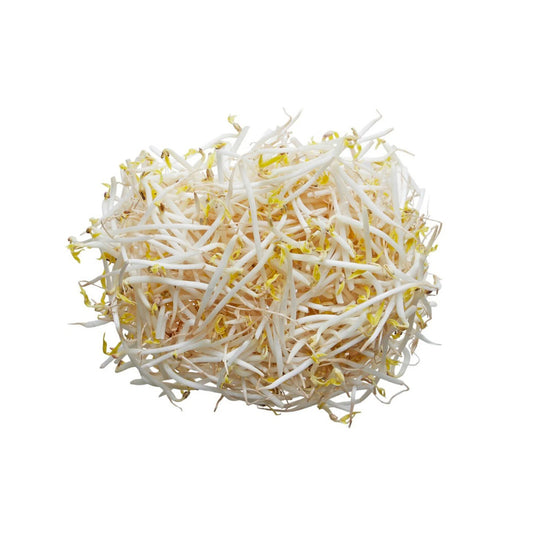 BEANSPROUTS 500G 豆芽蔬菜 500G 0037