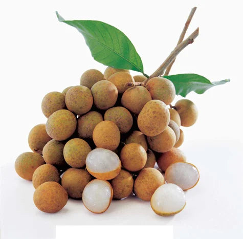 THAILAND longan 1KG /  泰國龍眼1KG 0121