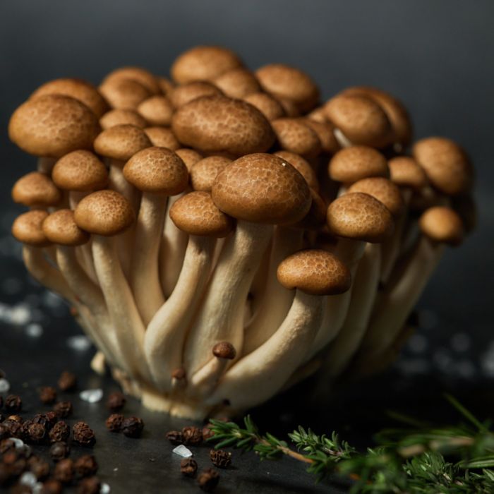 SMALL BROWN (CRAB) MUSHROOM PACK 150G (shimeji) 小棕色蘑菇包 / 蟹味菇  150G 0117