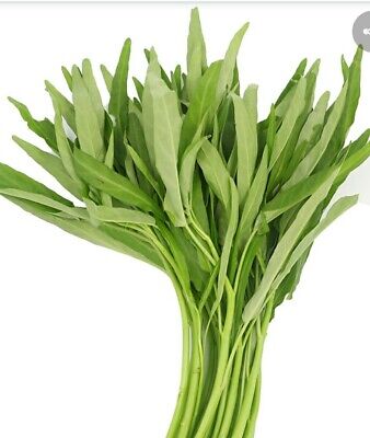 ONG CHOI PACK 200G 青通菜蔬菜 200G 0110